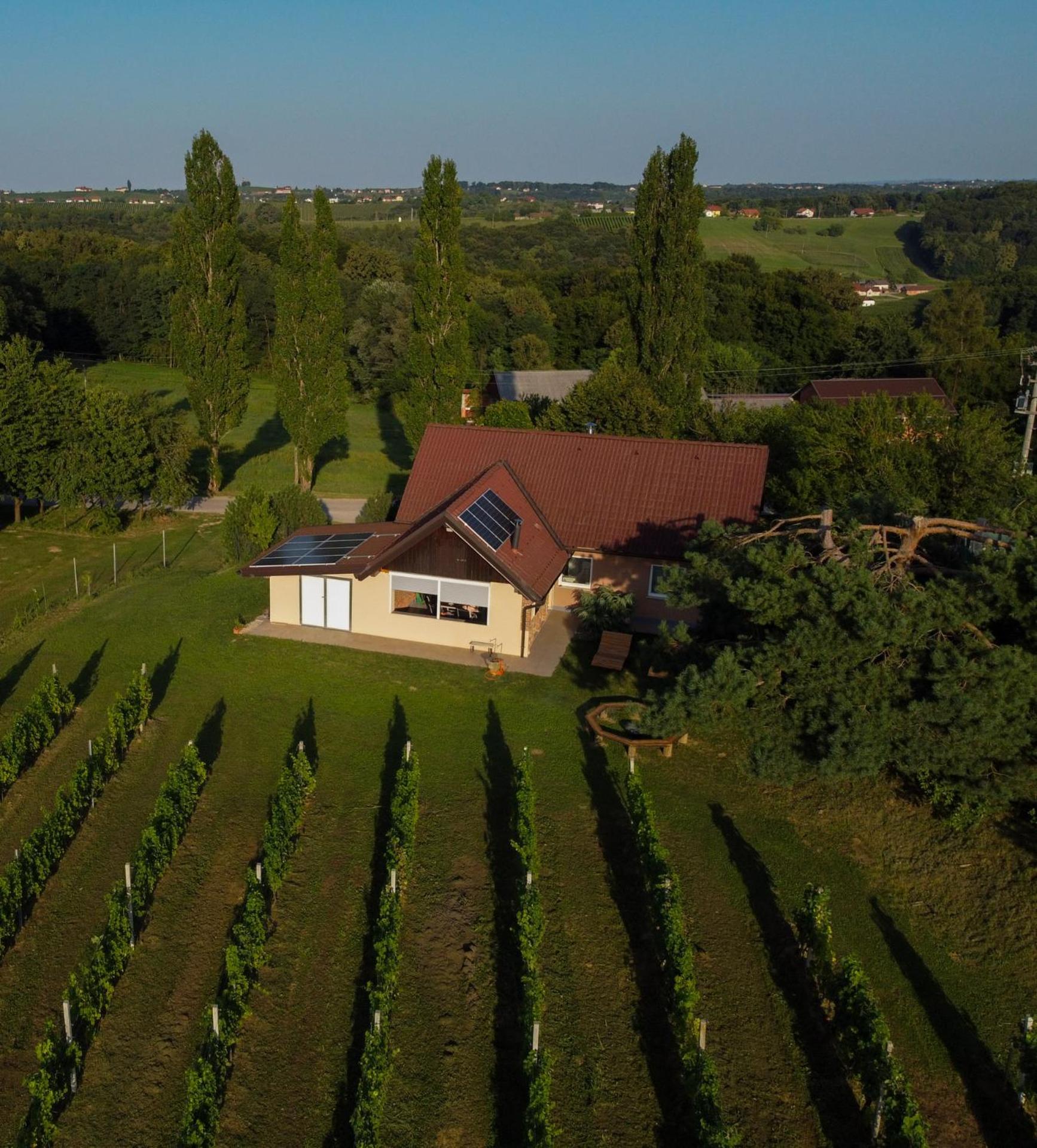 Pocitniska Hisa Soncni Vrh Villa Spodnji Ivanjci Exteriör bild